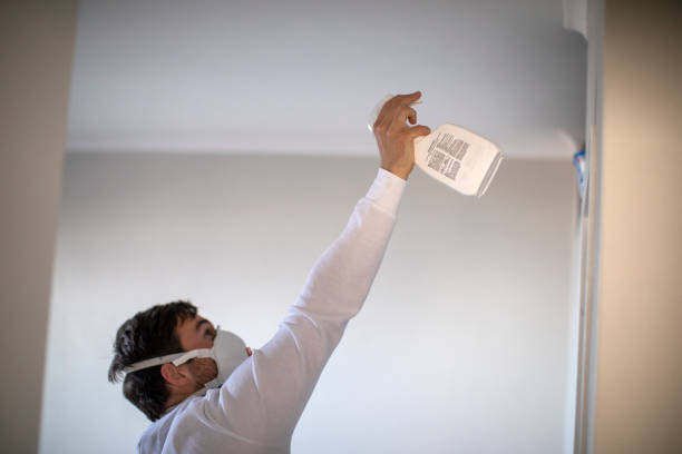 Best Water Damage Restoration  in Summitville, IN